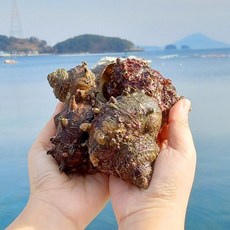 국내산 뿔소라 1kg 중, 1개