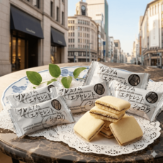 긴자의품격 산요도 긴자프리미엄엑설런트쇼콜라 고급초콜릿 일본쇼핑리스트일본기념품면세점선물20개, 1, 15g, 20개