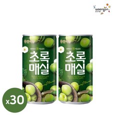 웅진 초록매실 180ml 30캔 미니 캔음료 음료수 과즙, 120개