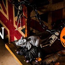 아동의상할로윈 파티용품 파티의상 행사파티복 데일리코디 스타일리시 바캉스룩 할로윈