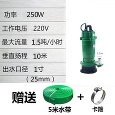 펌프 정화조 수중모터 2마력 1800와트, 250W 1인치 10m, 1개