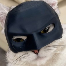 萌寵樂園 蝙蝠俠寵物頭盔 貓狗萬聖節造型頭飾 互動玩具, 1個