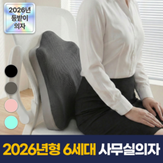 필모어 6세대 메모리폼 사무실 바른자세 등받이 허리 쿠션, 차콜그레이