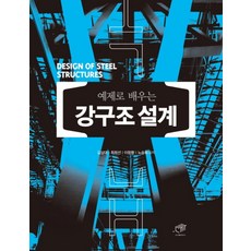 예제로 배우는강구조 설계, 대가, 김상대,최희선,이창환,노승희 공저