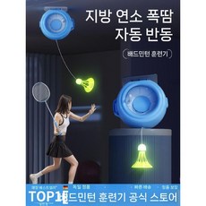 독일 배드민턴 싱글 트레이너 실내 1인용, 조정 하드 볼x3+장착
