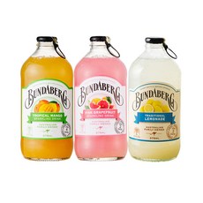 이젠서진 분다버그 3종(망고 4병+핑크자몽 4병+레몬에이드 4병) 375ml, 12개