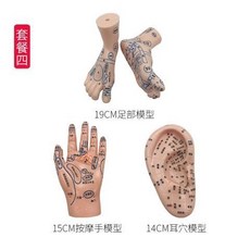 包郵!手足耳朵頭部模型經絡穴位反射區按摩高清晰中醫衛校教學包郵人體模型 教学 模型 穴位 關節骨架 模具, 19cm足+按摩手+14耳