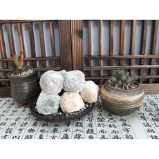 [대영] 국내산 찹쌀 삼색두텁떡 (40g*42알) 냉동떡 간식 아침식사대용떡 답례품, 1개, 1.68kg