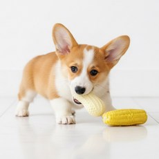 포시럽 강아지 라텍스 옥수수 인형 2종 세트, 옥수수+땅콩, 1세트