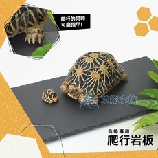 【AC草影】烏龜專用爬行岩板（15x30cm）星龜底砂 陸龜墊材 烏龜底床, 1個