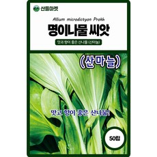 산들마켓 명이나물 산마늘 씨앗 50립 종자, 2개