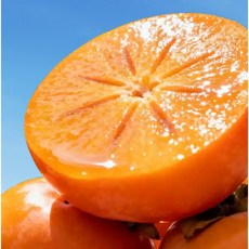 [6차완판] 과즙가득 고당도 제철 단감, 1개, 10kg