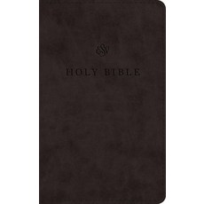 (영문도서)ESV Premium Church Bible (Trutone Black) Imitation Leather, Crossway, English, 9798874903442
