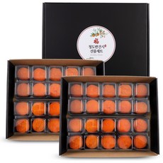 1+1 청도 반건시 곶감 (총2세트) 선물세트 행사특가, 2박스, 600g(20입/소과)