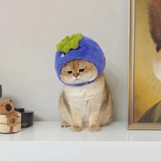BROWMODA 강아지 고양이 뽀글이 방한 모자, 사진색, 1개