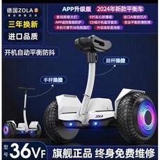 ZOLM 전동휠 호버보드 대리기사 이륜 두발 왕발통 출퇴근 경량 휴대용, 54v, 36V K11Air White 9인치 눈부신 휠 트리플