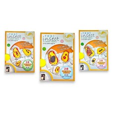 연구원놀이 호박속 곤충화석 발굴키트 랜덤 생일선물 과학탐구 과학교구 발굴체험, 품명품목, 단품