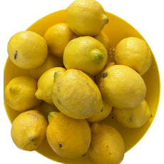 못난이 레몬 20개 미국산, 1개