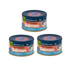 울월스 알래스칸 연어 통조림 Woolworths Salmon In Springwater, 3개, 95g