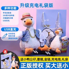 말따라하는 오리 인형 장난감 어린이 움직이는 녹음 말하는 선인장 녹음기능 따라쟁이, 정품 라이센스 수납 플러스 구입 선물, 1. usb 충전식 오리, 1개