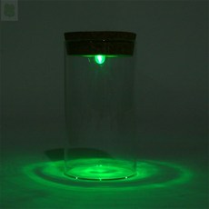 Rich 마리모키우기 마리모유리병