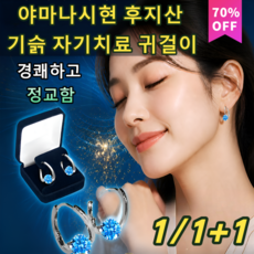 1/1+1 야마나시현 후지산 기슭 자기치료 귀걸이