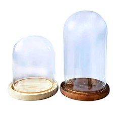 투명 드라이플라워 전시함 케이스 꽃다발 플라워 6x8cm 나무 받침대 포함, 12x20cm 나무 받침대 포함