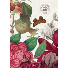Royal Botanical Gardens Kew Lined Notebook: Plastic Free Packaging [hardcover], Royal Botanical Gardens Kew Li