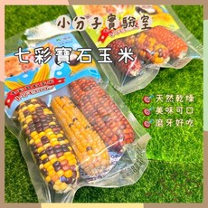 倉鼠零食 小分子乾燥玉米 迷你爆米花 黃金鼠/侏儒鼠/金絲熊適用, 1個, 七彩寶石玉米 單支裝