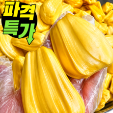 [재구매율1위] 천상의맛 손질 냉동 잭푸르트, 1개, 2kg