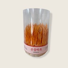 버섯키우기, 동충하초