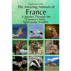 (英文圖書)The Amazing Animals of France: A Journey Through the Region's Most Spectacular W... 平裝版, Independently Published, 英文