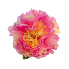 베타 꽃 침대 1+1 은신처 베타 어항꾸미기, 크림화이트, 연핑크