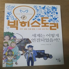 빅 히스토리 15 : 세계는 어떻게 연결되었을까?/조지형.와이스쿨