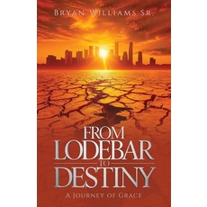 (영문도서)From Lodebar to Destiny A Journey of Grace Paperback, Spines, English, 9798900018164