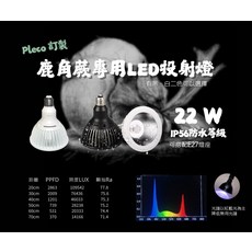 Pleco 鹿角蕨專用LED投射燈 22W IP56防水等級 E27燈座, 藍光/黑色外罩, 1個