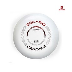 플라잉 원반 디스크