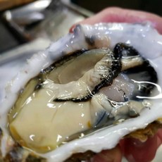 멍게1kg 외 제철수산물 해물파티, 1개, 삼배체굴2kg대