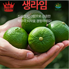 [엘림농수] 생라임 톡톡 터지는 천연 비타민, 1박스, 1kg 내외, 대과 10과