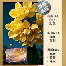 XANZR 汽車芳香劑 香磚 藍嶼海風, 1個, 車用香氛磚【馥郁桂香】200G超持久擴香