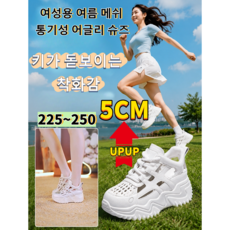 여성용 여름 메쉬 통기성 어글리 슈즈