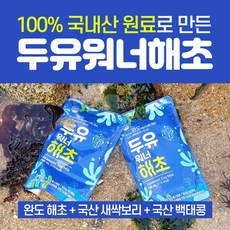 100플러스몰 두유워너해초 100%국산원료 두유 식사대용 190mlx20포, 190ml