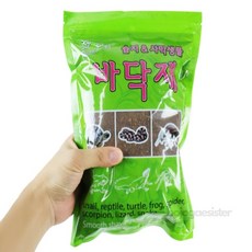 보조개자매 거북이 바닥재 애니멀밥, 1