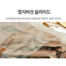 천연재료 맑은물보배땅 영지버섯 슬라이스 300g
