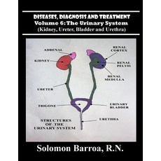 (영문도서) Diseases Diagnosis and Treatment Paperback, Createspace Independent Pub..., English, 9781489542076