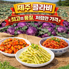 [산지직송] 제주도 해풍 콜라비, 1개, 5kg