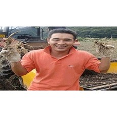 (갓햇삼)싱싱햇인삼국산보장 홍삼다림 난발삼 가정용오쿠전용 농가직배송 실속인삼 세척수삼선택, 1개, 700G 무료세척-중소난발삼 17-19뿌리
