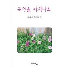 곡성을 아시나요:차경섭 동시조집, 아동문학세상