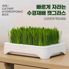 MEOWJOY 캣그라스 수경재배기 실내 고양이용 3단 분리형 발아트레이, 1개, 50g, 오리지널
