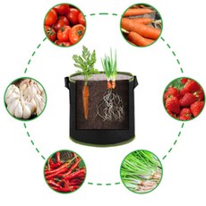 콩군하우스 부직포 화분 30x25 블루베리화분, 블랙